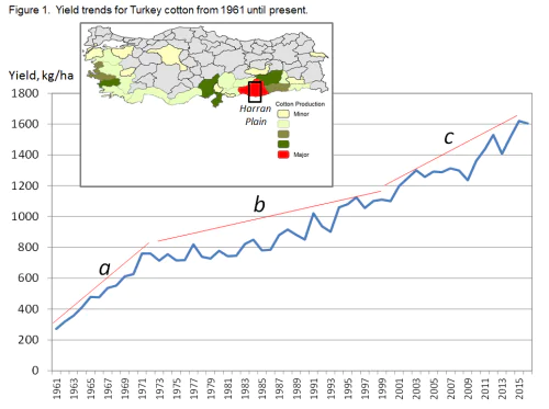 Turkey's Cotton Production by year