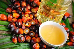 Palm oil suppliers in Indonesia