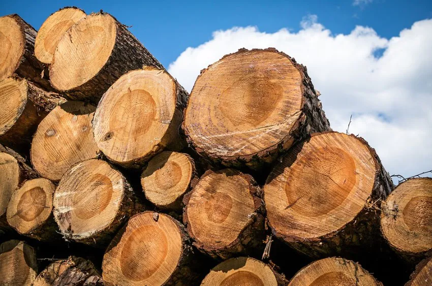 largest wood producing countries