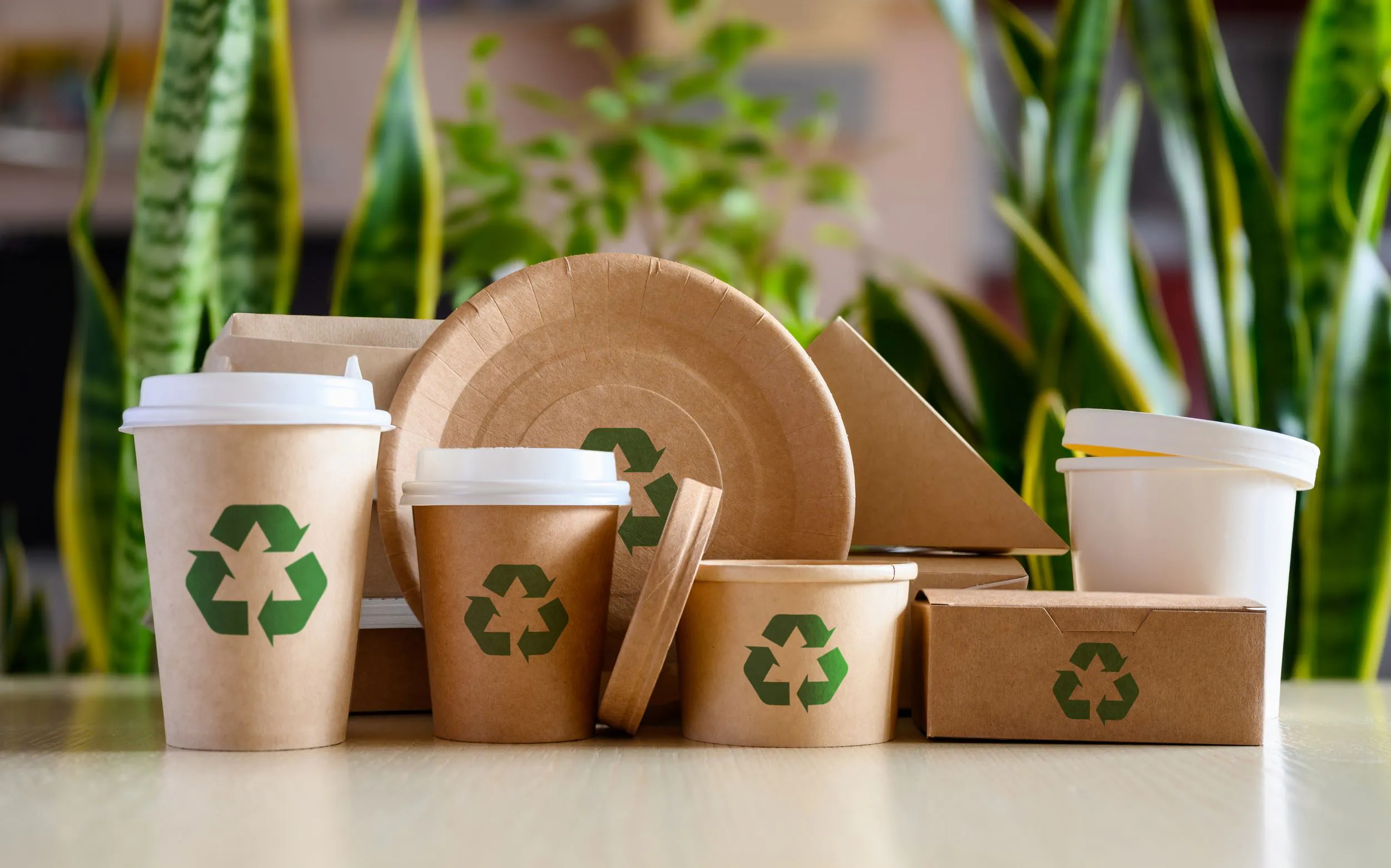 Innovations in Paper and Cardboard Packaging — Moving Towards a More Recyclable Future
