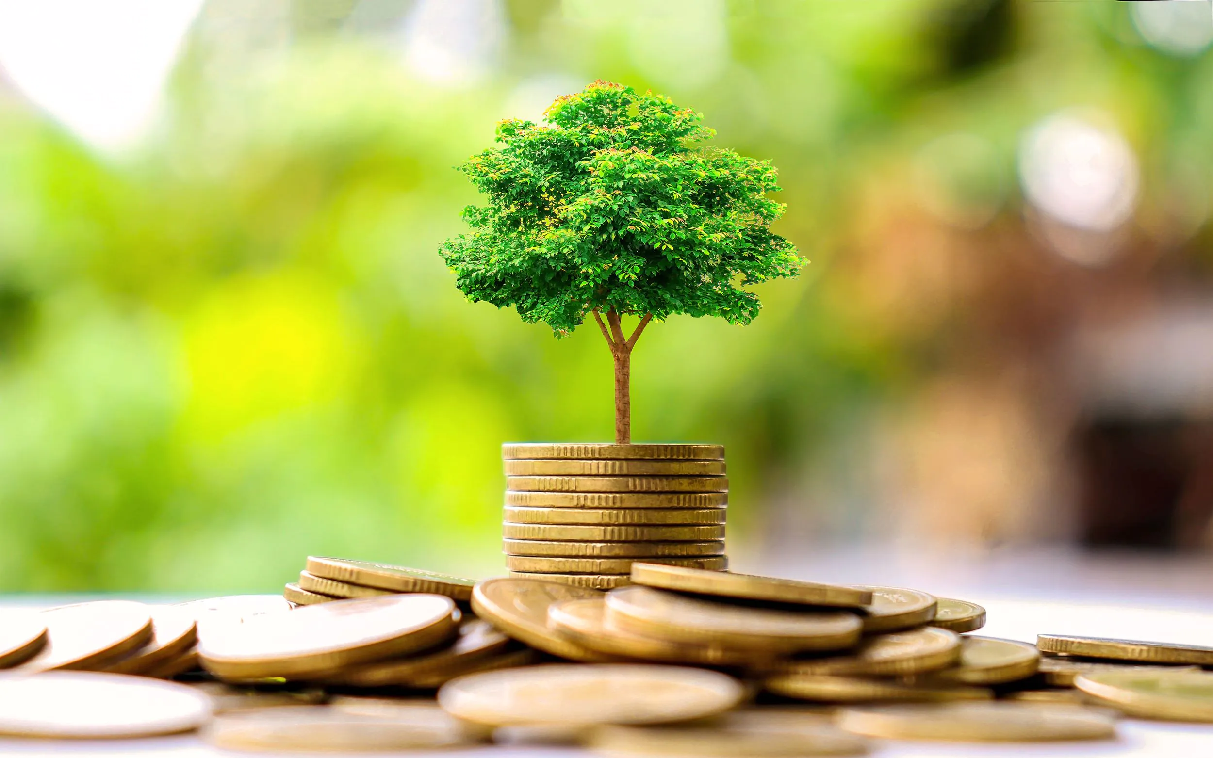 5 Sustainable Financing Solutions for Eco-Friendly Business Growth
